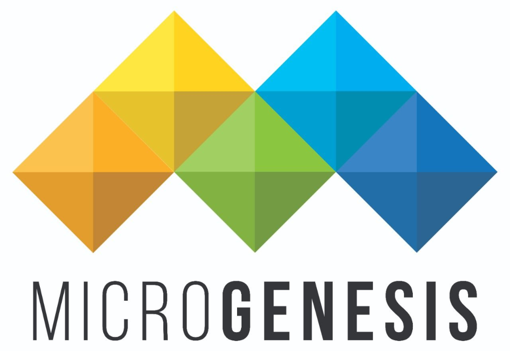 Microgenesis